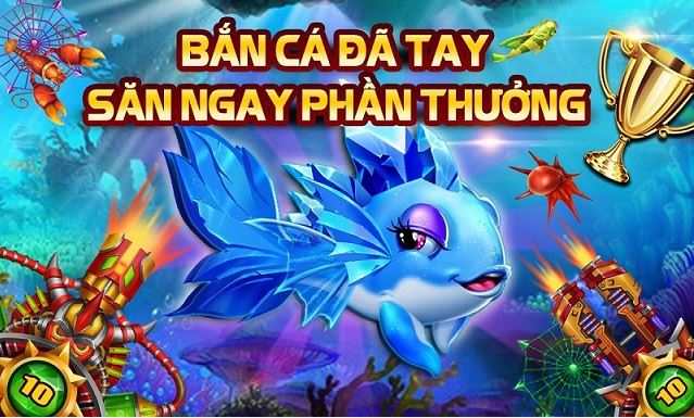 Lưu ý khi chơi bắn cá bingo nhà cái QH88