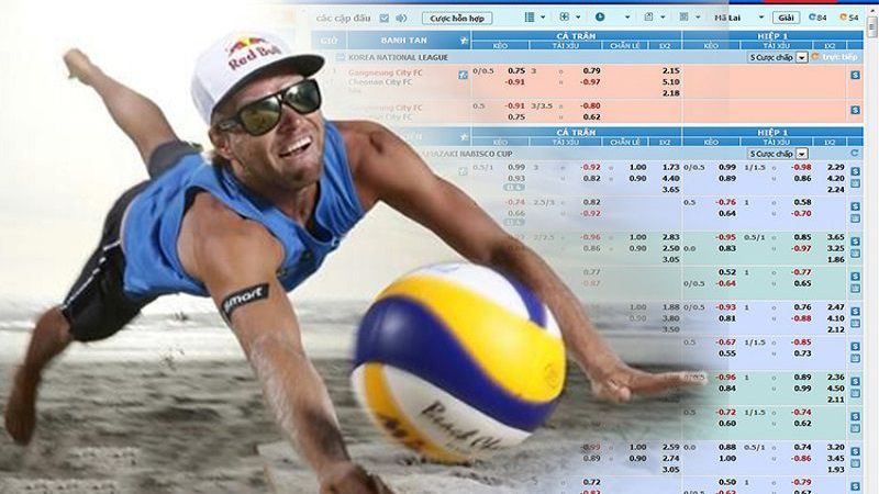 Bí kíp cá cược bóng chuyền nhà cái QH88