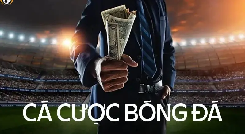 cá cược bóng đá nhà cái QH88