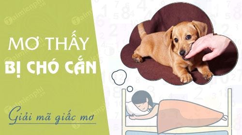 Các câu hỏi thường gặp về nằm mơ thấy chó đánh lô con gì