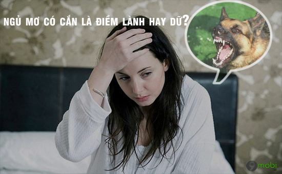 Dấu hiệu cảnh bảo nằm mơ thấy chó đánh lô con gì