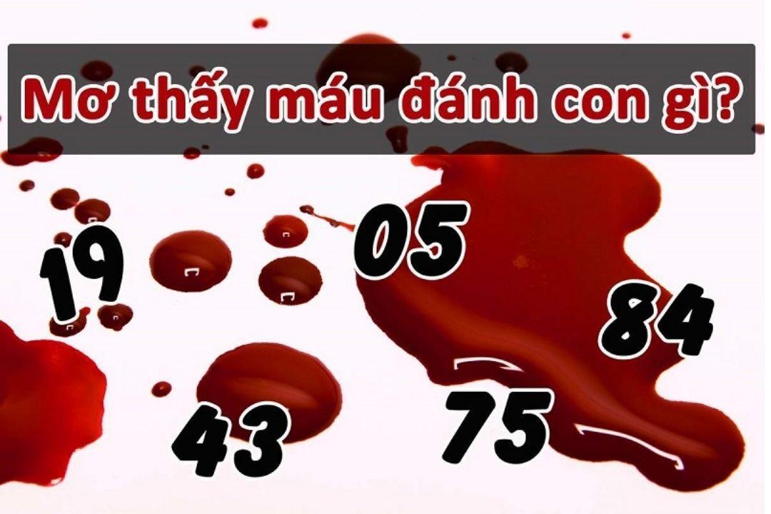 nằm mơ thấy máu đánh lô con gì