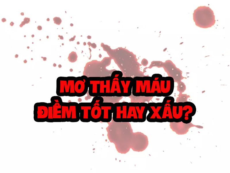 Nằm Mơ Thấy Máu Đánh Lô Con Gì - Giải Mã Những Ý Nghĩa Bí Ẩn