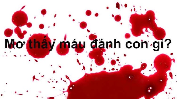 Nằm Mơ Thấy Máu Đánh Lô Con Gì - Giải Mã Những Ý Nghĩa Bí Ẩn