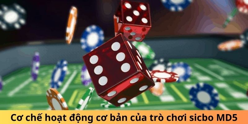 Các câu hỏi thường gặp khi chơi tài xỉu MD5 nhà cái QH88